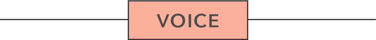 VOICE